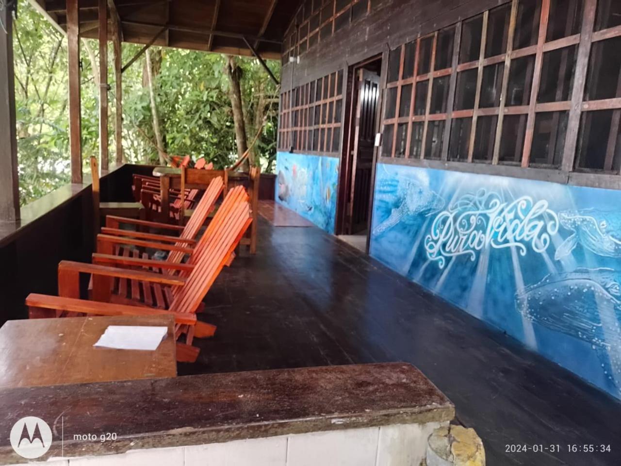 Pirate Drake Beach Hostel & Tour Company Drake Bay ภายนอก รูปภาพ