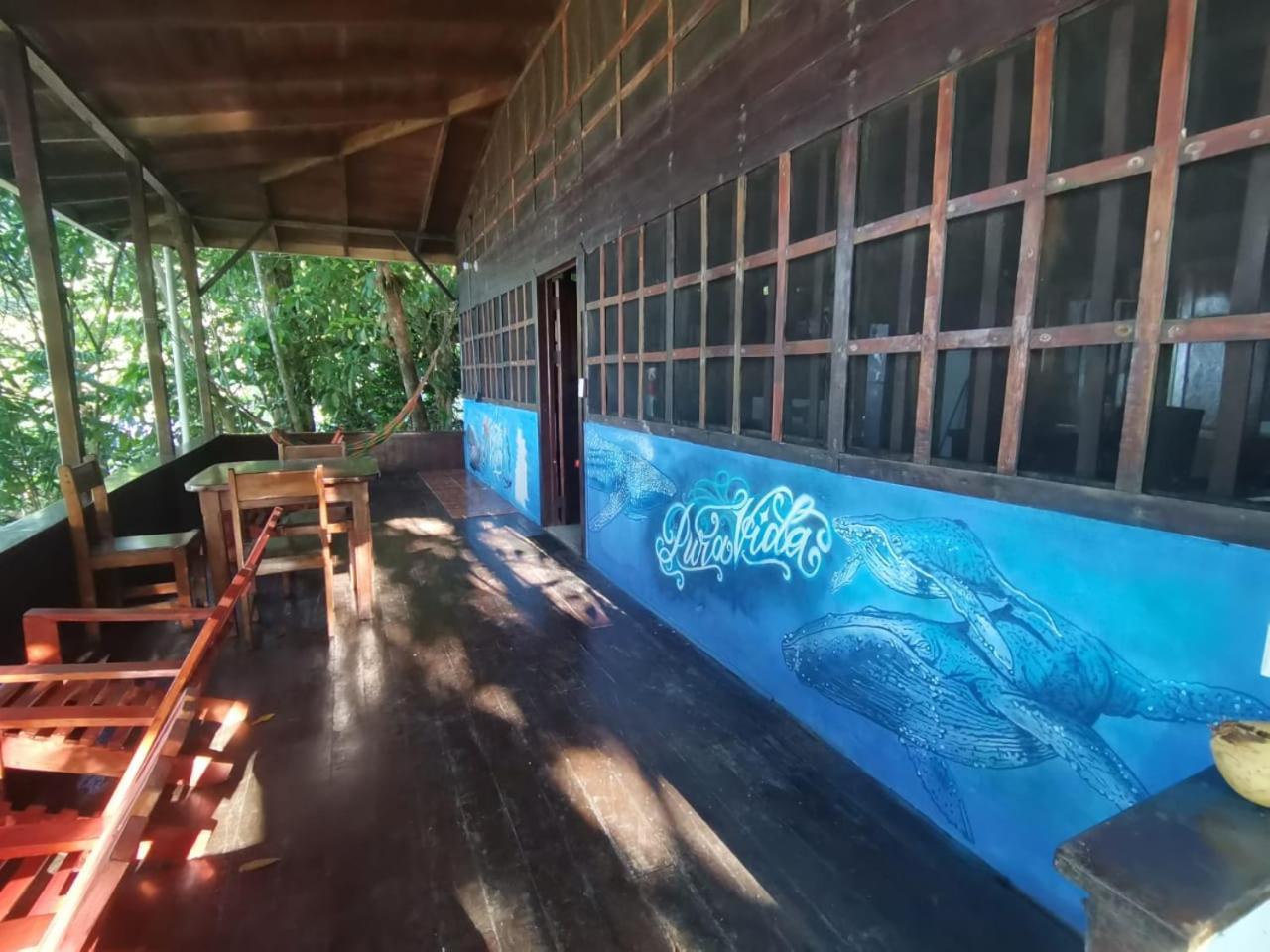Pirate Drake Beach Hostel & Tour Company Drake Bay ภายนอก รูปภาพ
