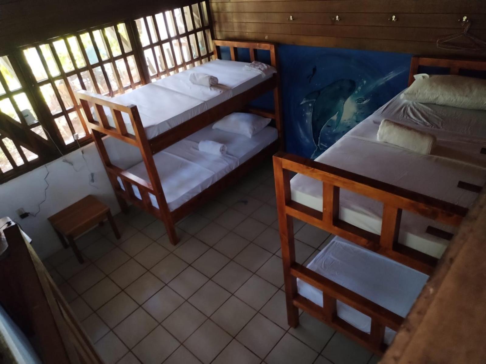 Pirate Drake Beach Hostel & Tour Company Drake Bay ภายนอก รูปภาพ