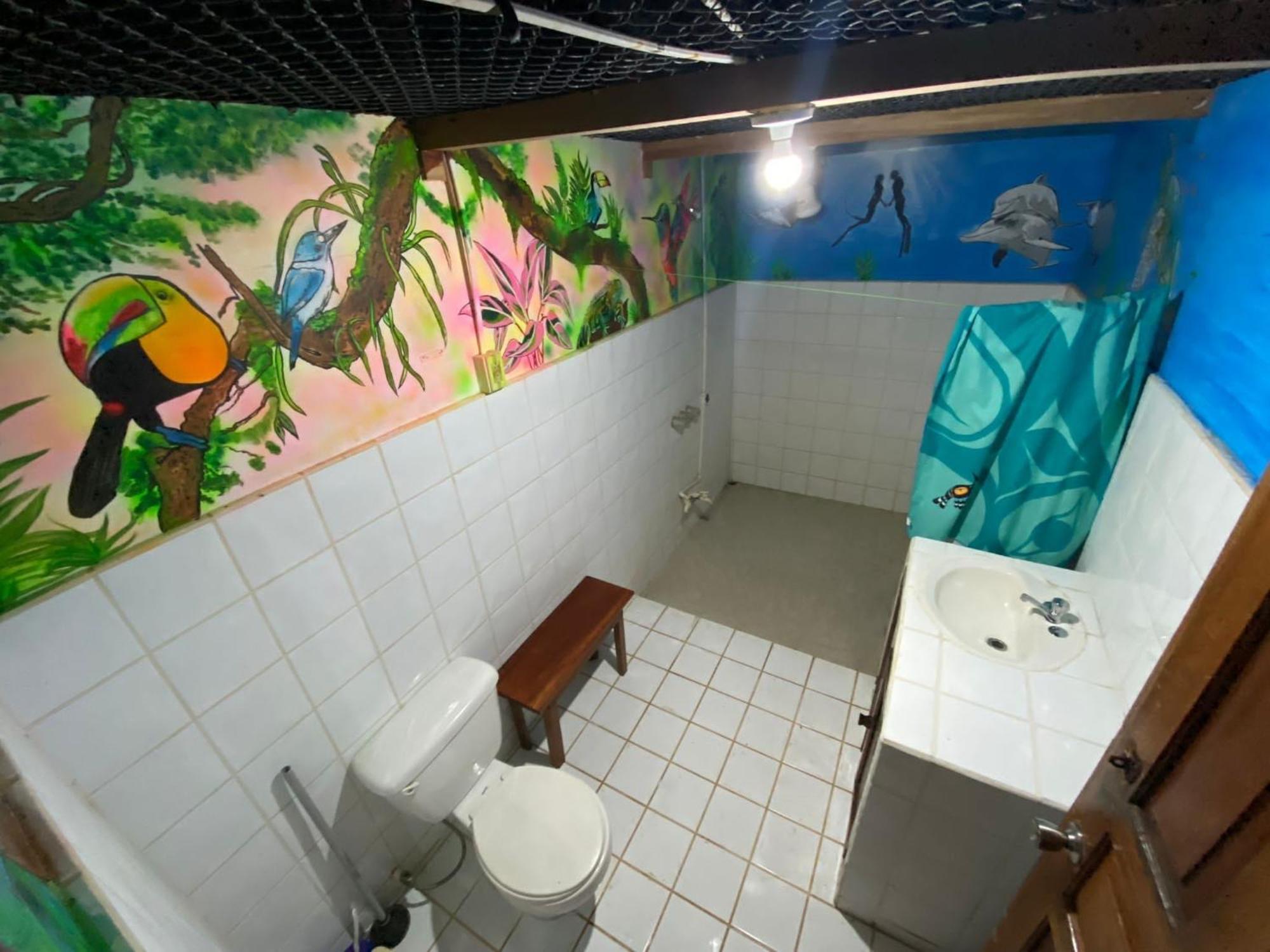 Pirate Drake Beach Hostel & Tour Company Drake Bay ภายนอก รูปภาพ