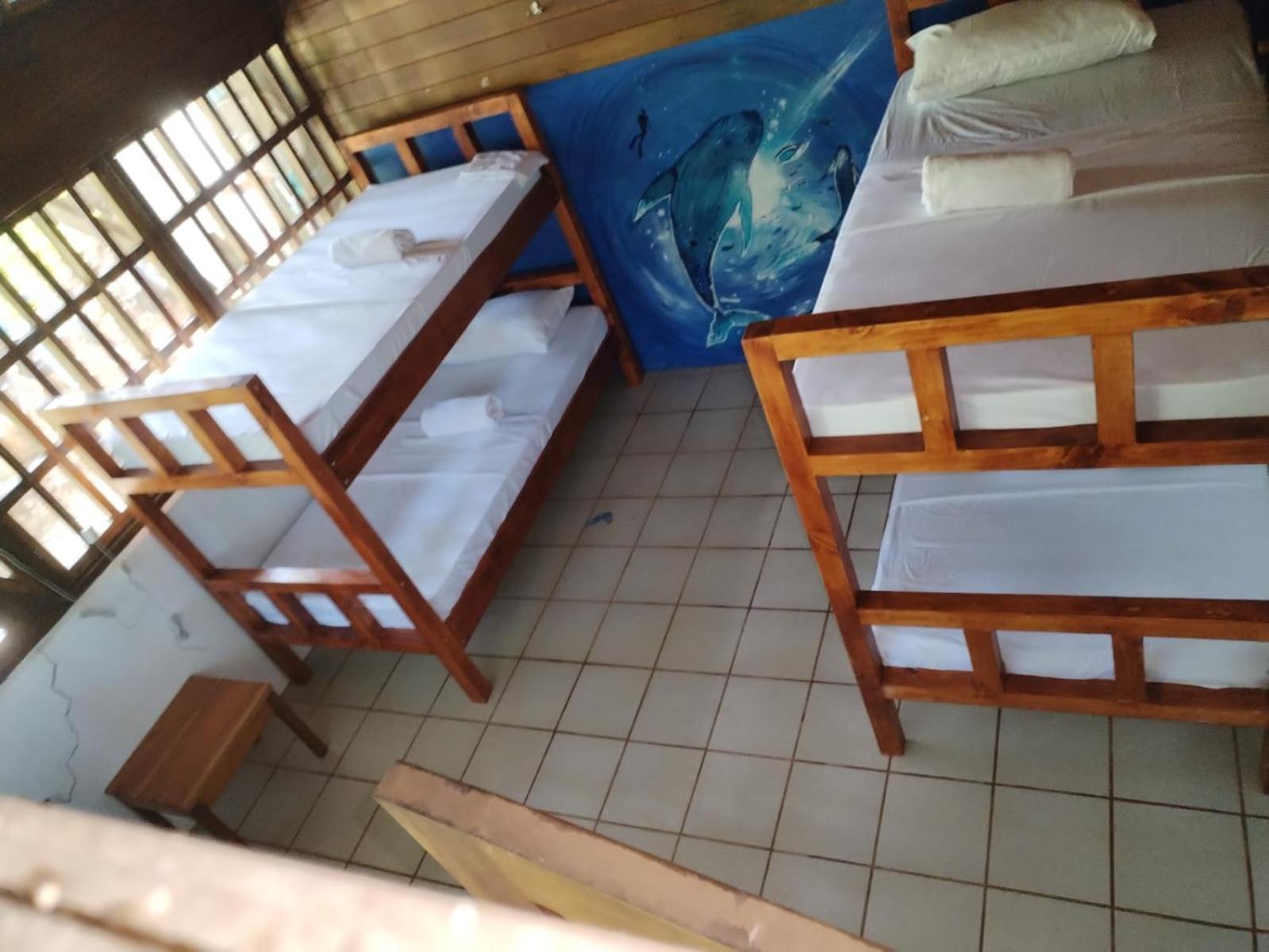 Pirate Drake Beach Hostel & Tour Company Drake Bay ภายนอก รูปภาพ