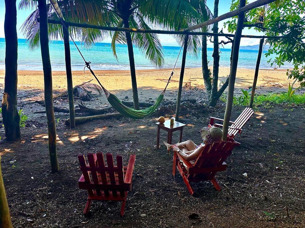 Pirate Drake Beach Hostel & Tour Company Drake Bay ภายนอก รูปภาพ