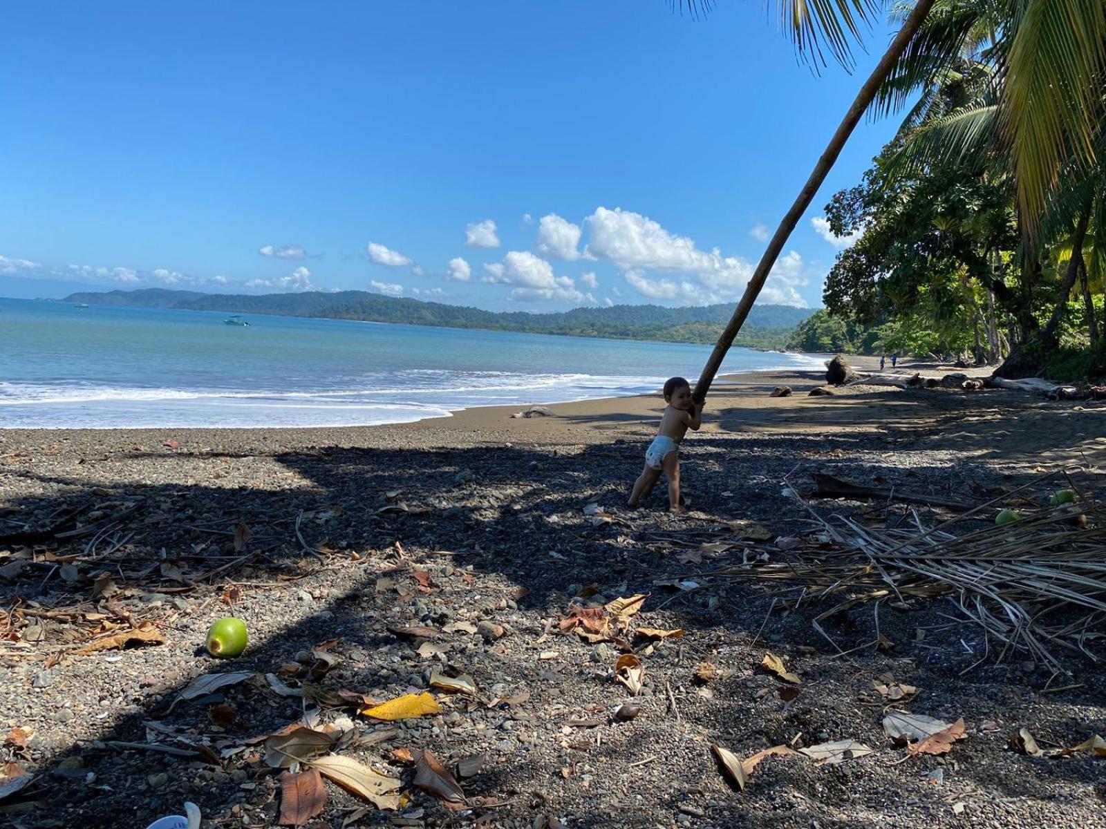 Pirate Drake Beach Hostel & Tour Company Drake Bay ภายนอก รูปภาพ