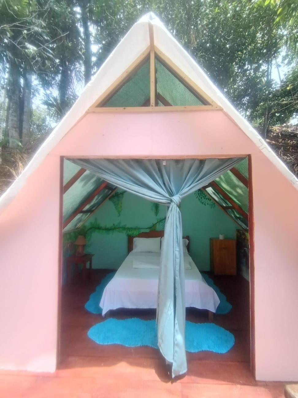 Pirate Drake Beach Hostel & Tour Company Drake Bay ภายนอก รูปภาพ